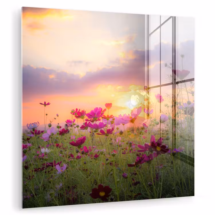 Bloemen - Roze - Zonsondergang - Natuur - Weide - Horizon plexiglas 5mm klein -zzzproduct_nieuw