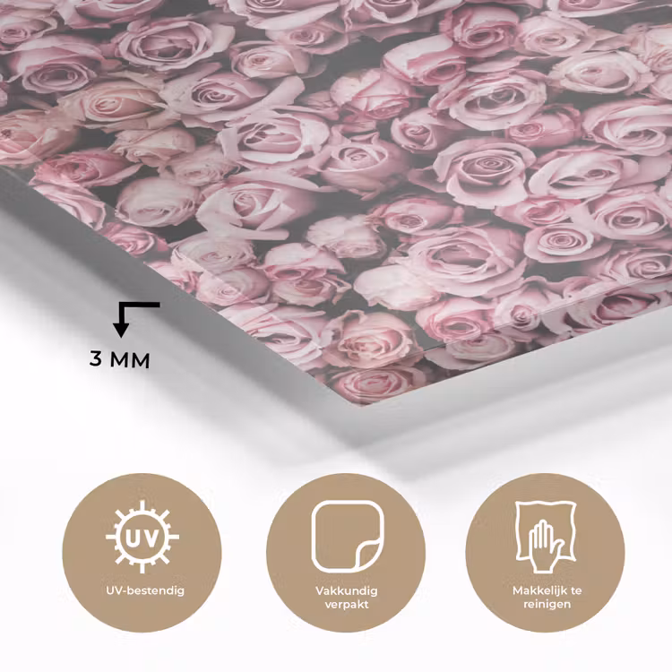 Bloemen - Rozen - Natuur - Roze - Botanisch plexiglas 5mm klein -sfeer2