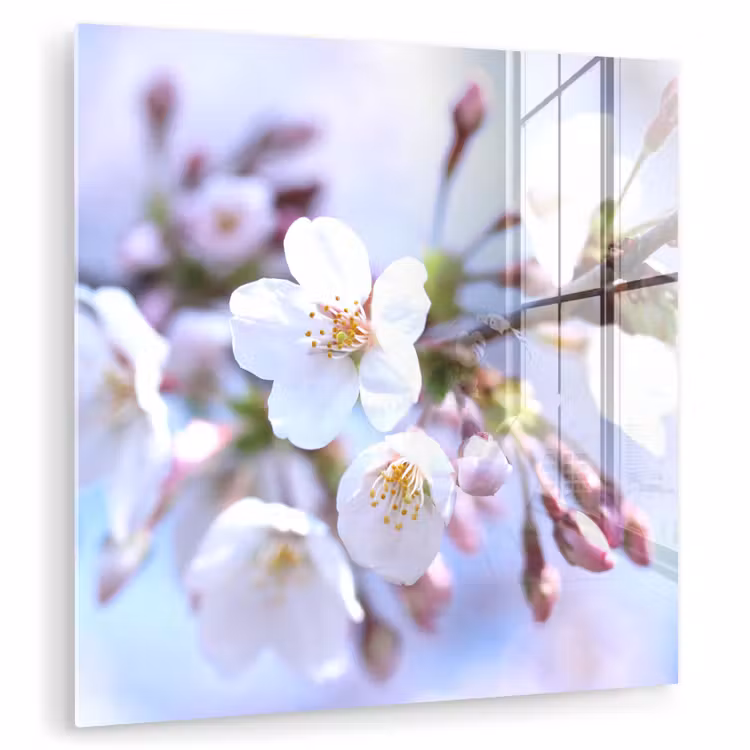 Bloemen - Sakura - Tak - Bloesem takken plexiglas 5mm klein -zzzproduct_nieuw