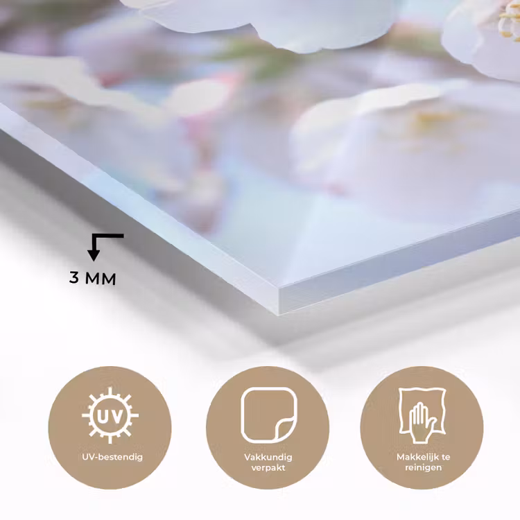 Bloemen - Sakura - Tak - Bloesem takken plexiglas 5mm klein -sfeer2