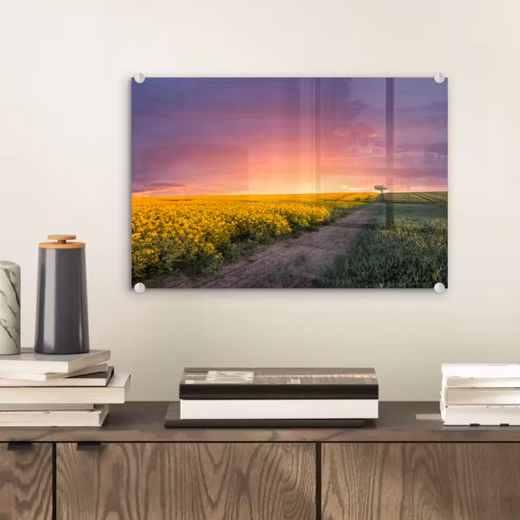 Bloemen - Weg - Lucht - Geel - Paars - Zonsondergang - Natuur plexiglas 5mm klein -sfeer1