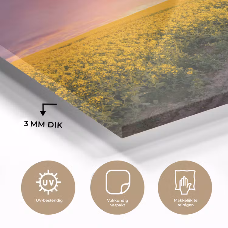 Bloemen - Weg - Lucht - Geel - Paars - Zonsondergang - Natuur plexiglas 5mm klein -sfeer2