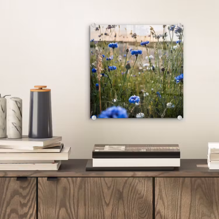 Bloemen - Zomer - Korenbloem - Blauw - Zon - Wolken plexiglas 5mm klein -sfeer1