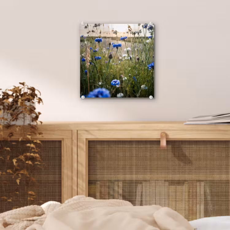 Bloemen - Zomer - Korenbloem - Blauw - Zon - Wolken plexiglas 5mm klein -sfeer4