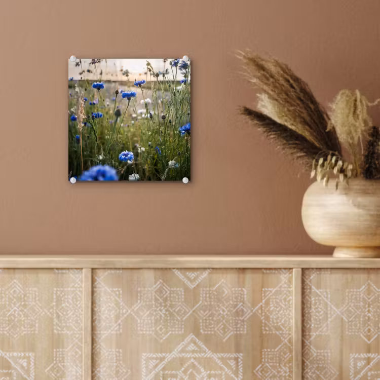 Bloemen - Zomer - Korenbloem - Blauw - Zon - Wolken plexiglas 5mm klein -sfeer5