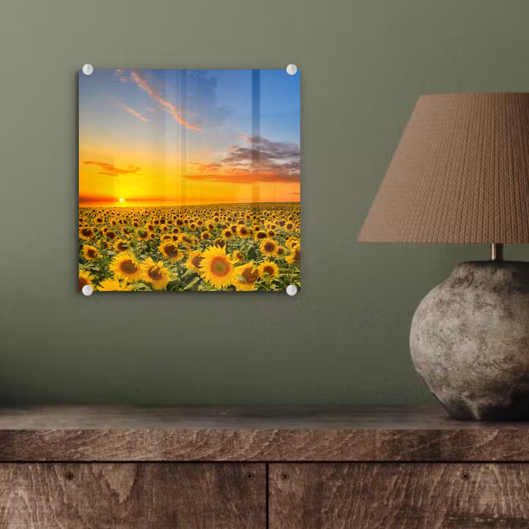 Bloemen - Zonnebloem - Zonsondergang - Nacht - Oranje plexiglas 5mm klein -sfeer3