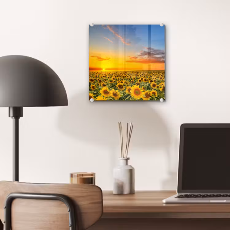 Bloemen - Zonnebloem - Zonsondergang - Nacht - Oranje plexiglas 5mm klein -sfeer6