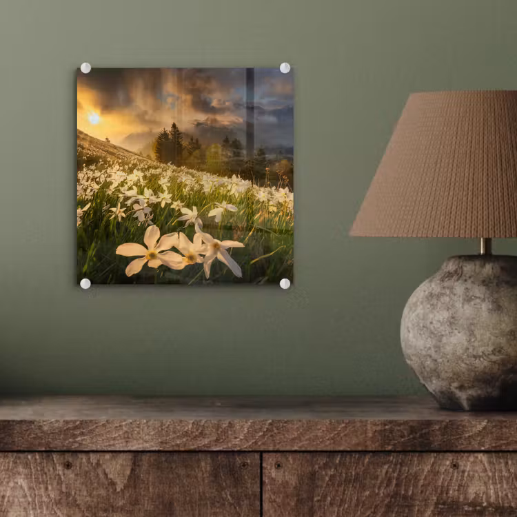 Bloemenveld - Heuvels - Zonsondergang - Berg - Natuur - Wit - Heuvels plexiglas 5mm klein -sfeer3