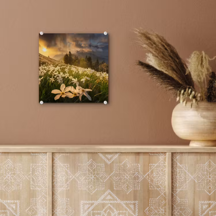Bloemenveld - Heuvels - Zonsondergang - Berg - Natuur - Wit - Heuvels plexiglas 5mm klein -sfeer5