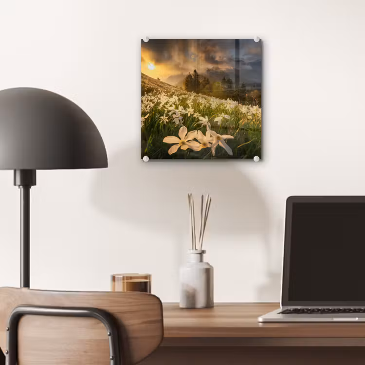 Bloemenveld - Heuvels - Zonsondergang - Berg - Natuur - Wit - Heuvels plexiglas 5mm klein -sfeer6