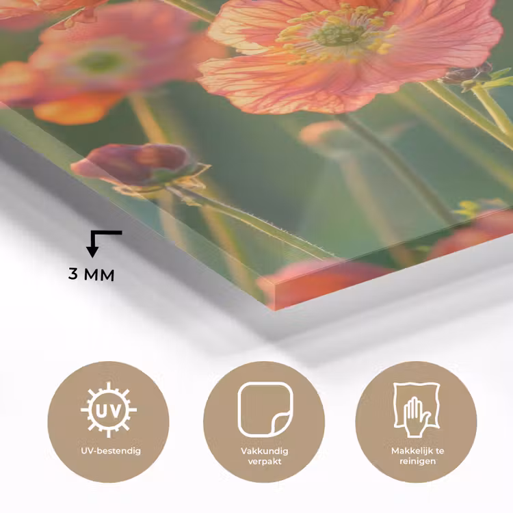Bloemenveld - Zonnestralen - Oranje plexiglas 5mm klein -sfeer2