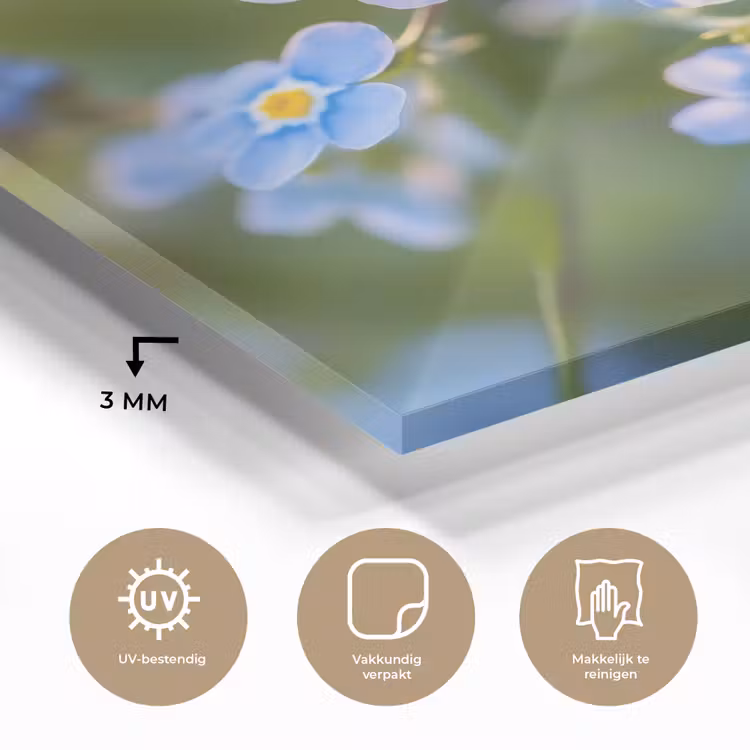Bloemetjes - Blauw - Vergeet mij nietjes plexiglas 5mm klein -sfeer2