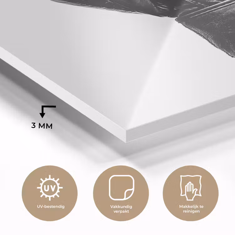 Bokshandschoen - Zwart - Hand plexiglas 5mm klein -sfeer2