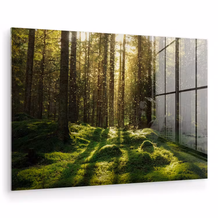 Bomen - Bos - Mos - Planten - Zon - Natuur plexiglas 5mm klein -zzzproduct_nieuw