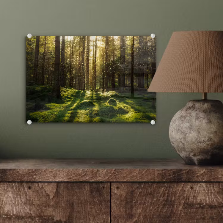 Bomen - Bos - Mos - Planten - Zon - Natuur plexiglas 5mm klein -sfeer3