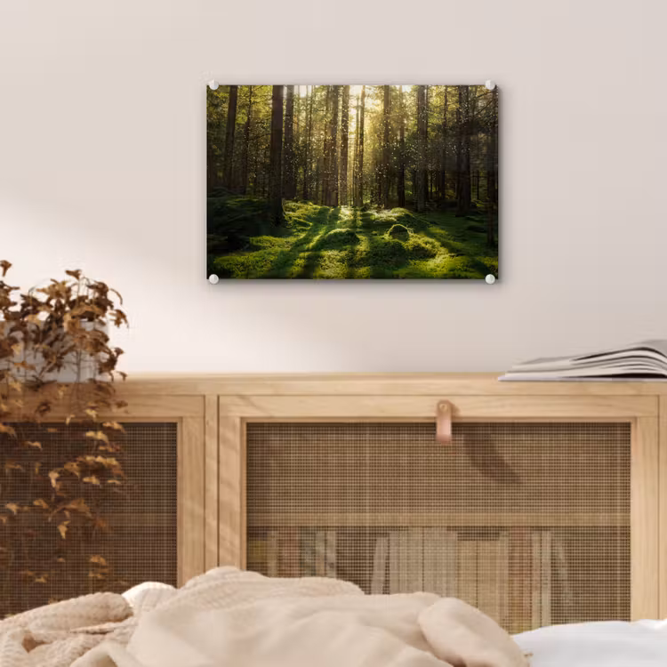 Bomen - Bos - Mos - Planten - Zon - Natuur plexiglas 5mm klein -sfeer4