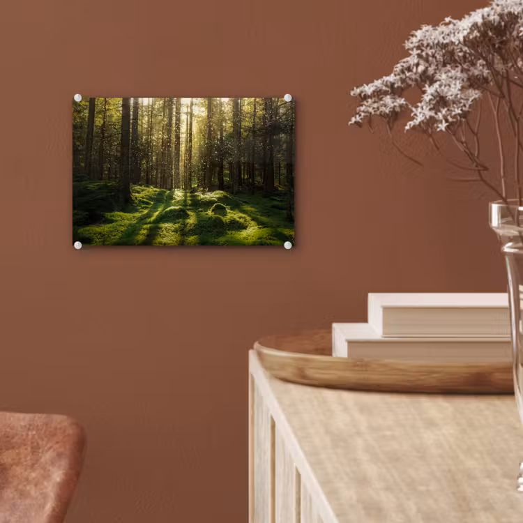 Bomen - Bos - Mos - Planten - Zon - Natuur plexiglas 5mm klein -sfeer5
