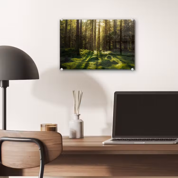 Bomen - Bos - Mos - Planten - Zon - Natuur plexiglas 5mm klein -sfeer6