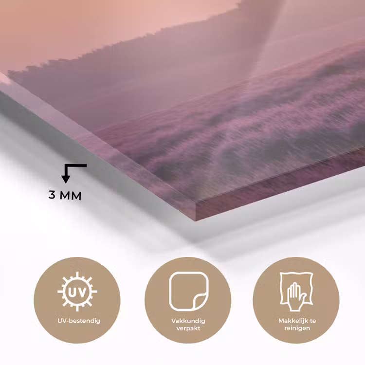 Boom - Heide - Zonsopgang plexiglas 5mm klein -sfeer2