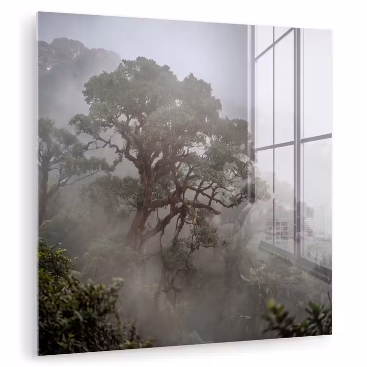Boom - Mistig - Bos - Groen - Natuur plexiglas 5mm klein -zzzproduct_nieuw