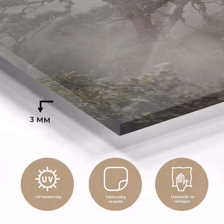 Boom - Mistig - Bos - Groen - Natuur plexiglas 5mm klein -sfeer2