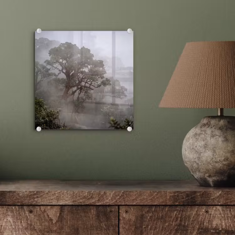Boom - Mistig - Bos - Groen - Natuur plexiglas 5mm klein -sfeer3