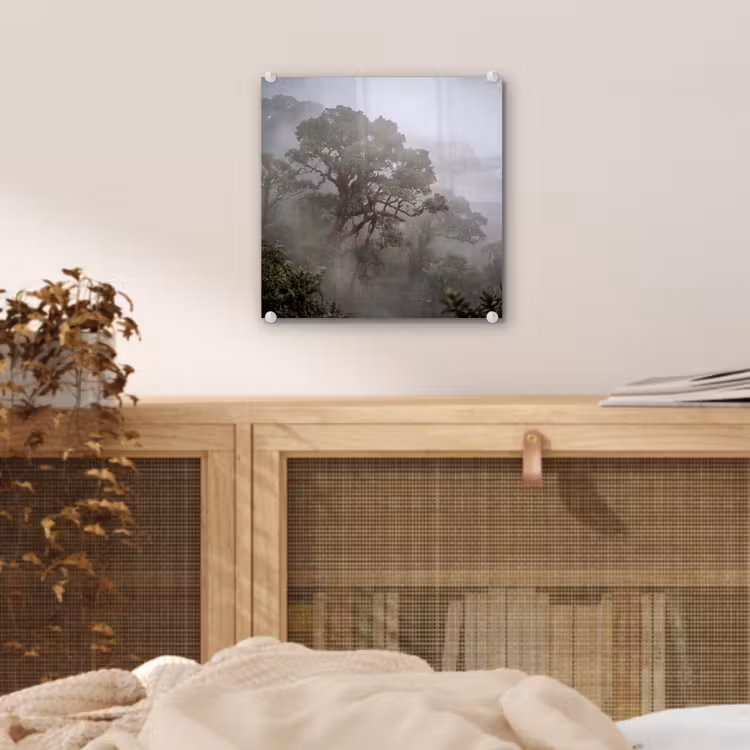Boom - Mistig - Bos - Groen - Natuur plexiglas 5mm klein -sfeer4