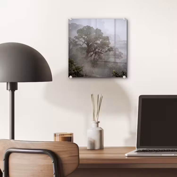 Boom - Mistig - Bos - Groen - Natuur plexiglas 5mm klein -sfeer6