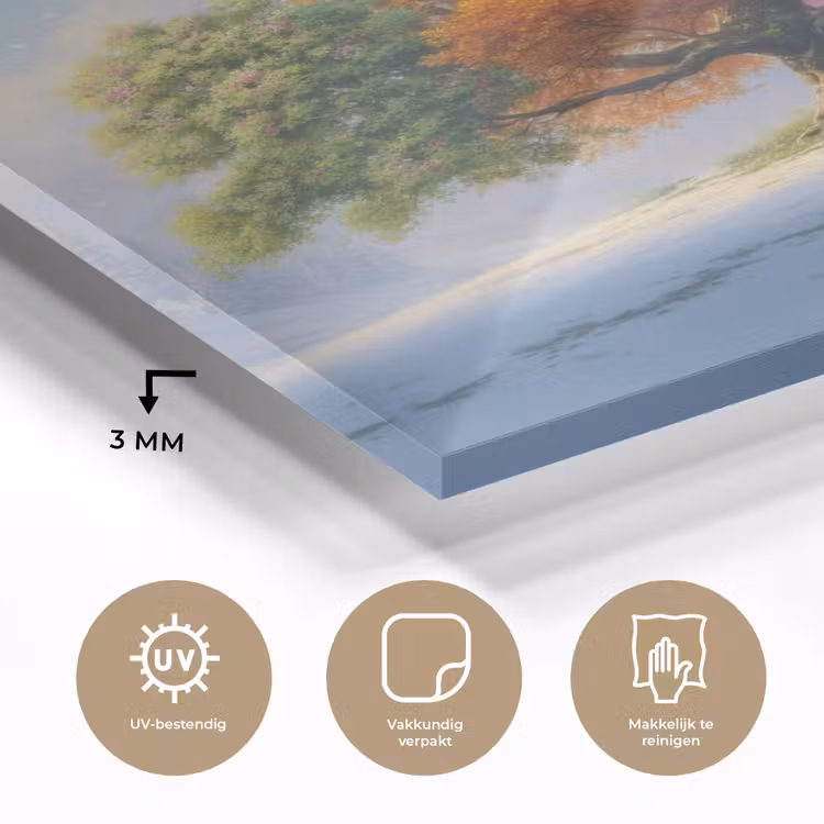 Boom - Seizoenen - Winter - Landschap plexiglas 5mm klein -sfeer2