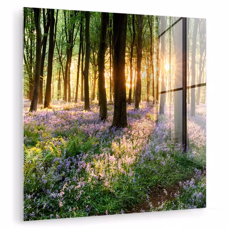 Bos - Bloemen - Lavendel - Zon - Paars - Natuur plexiglas 5mm klein -zzzproduct_nieuw