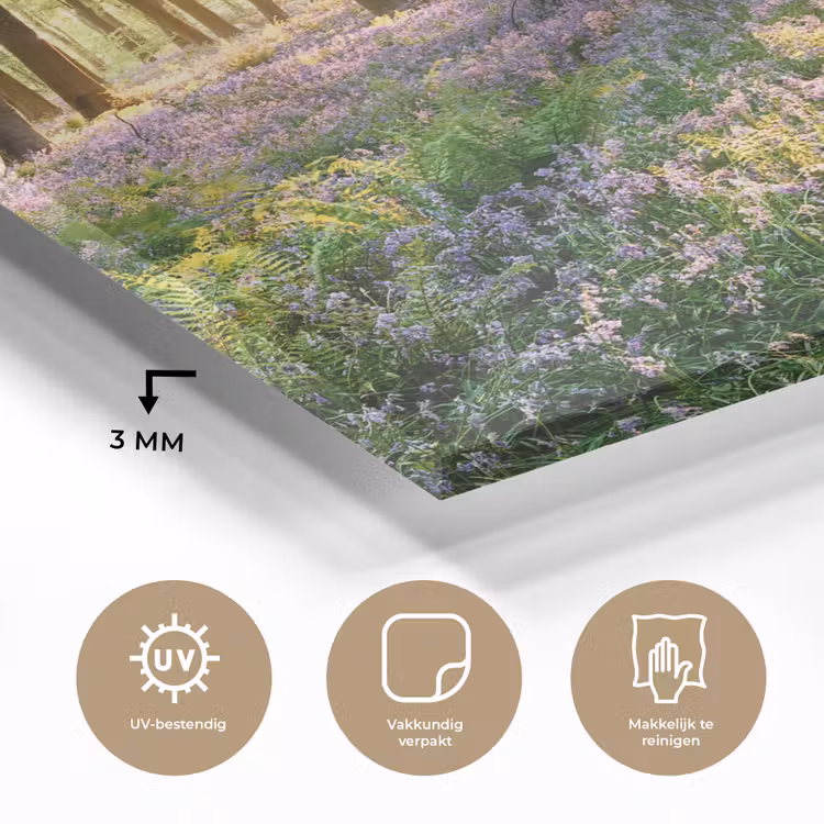 Bos - Bloemen - Lavendel - Zon - Paars - Natuur plexiglas 5mm klein -sfeer2