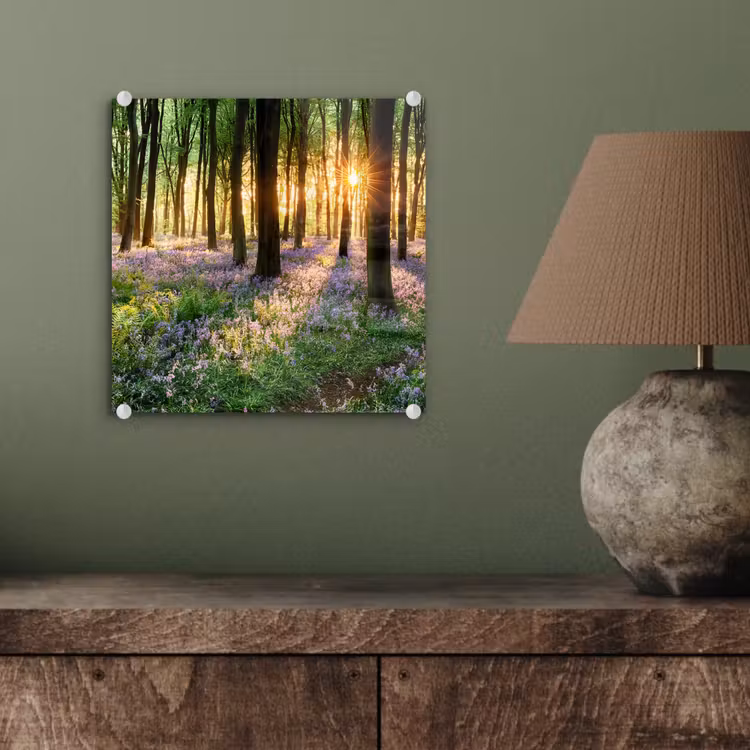 Bos - Bloemen - Lavendel - Zon - Paars - Natuur plexiglas 5mm klein -sfeer3