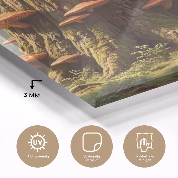 Glas schilderij - Bos - Bomen - Natuur - Bos - Bomen - Natuur plexiglas 5mm klein