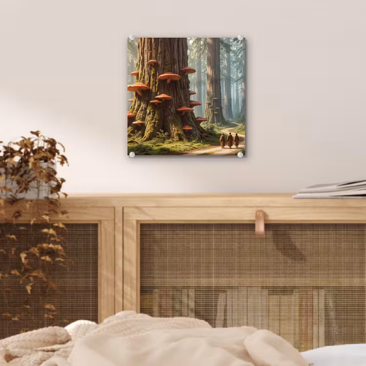 Glas schilderij - Bos - Bomen - Natuur - Bos - Bomen - Natuur plexiglas 5mm klein