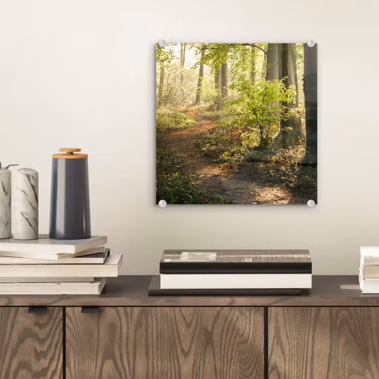 Bos - Bomen - Pad - Zon - Planten - Bladeren - Natuur plexiglas 5mm klein -sfeer1