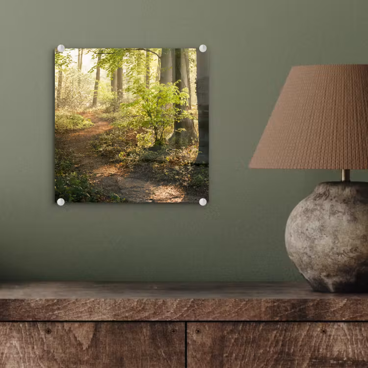 Bos - Bomen - Pad - Zon - Planten - Bladeren - Natuur plexiglas 5mm klein -sfeer3
