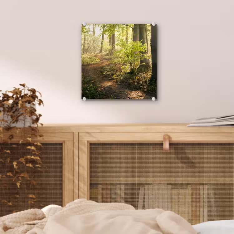 Bos - Bomen - Pad - Zon - Planten - Bladeren - Natuur plexiglas 5mm klein -sfeer4