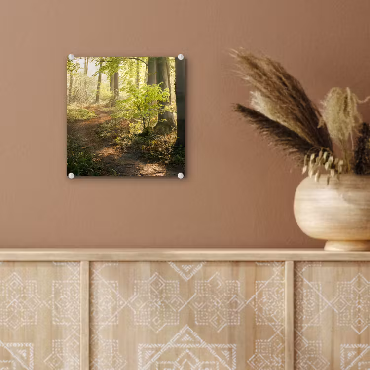 Bos - Bomen - Pad - Zon - Planten - Bladeren - Natuur plexiglas 5mm klein -sfeer5