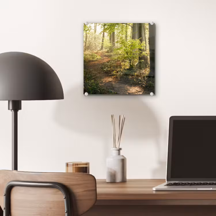 Bos - Bomen - Pad - Zon - Planten - Bladeren - Natuur plexiglas 5mm klein -sfeer6
