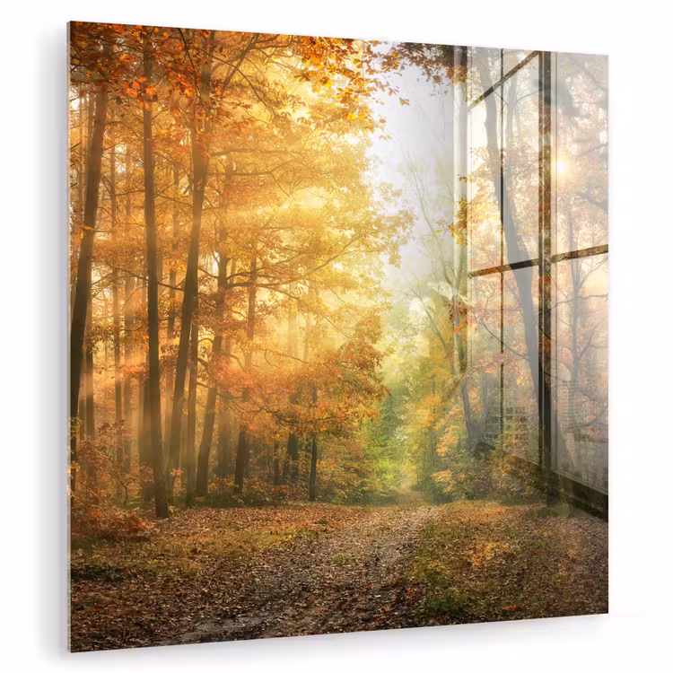 Bos - Herfst - Zon - Landschap - Natuur - Bomen - Bladeren plexiglas 5mm klein -zzzproduct_nieuw