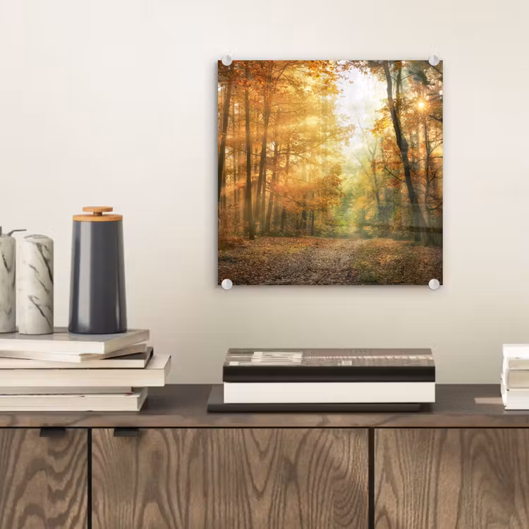 Bos - Herfst - Zon - Landschap - Natuur - Bomen - Bladeren plexiglas 5mm klein -sfeer1