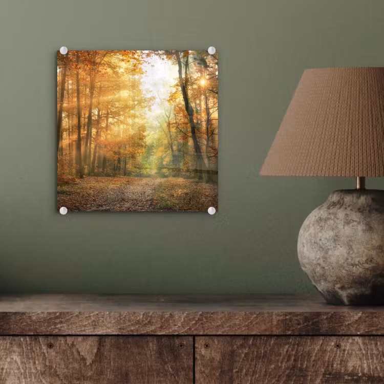 Bos - Herfst - Zon - Landschap - Natuur - Bomen - Bladeren plexiglas 5mm klein -sfeer3