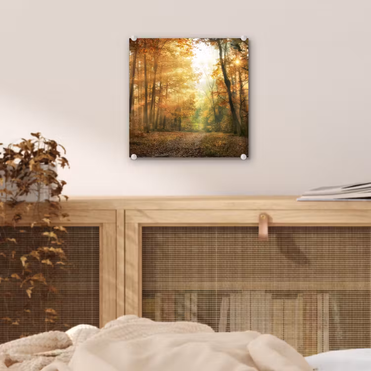 Bos - Herfst - Zon - Landschap - Natuur - Bomen - Bladeren plexiglas 5mm klein -sfeer4