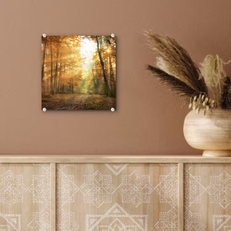 Bos - Herfst - Zon - Landschap - Natuur - Bomen - Bladeren plexiglas 5mm klein -sfeer5