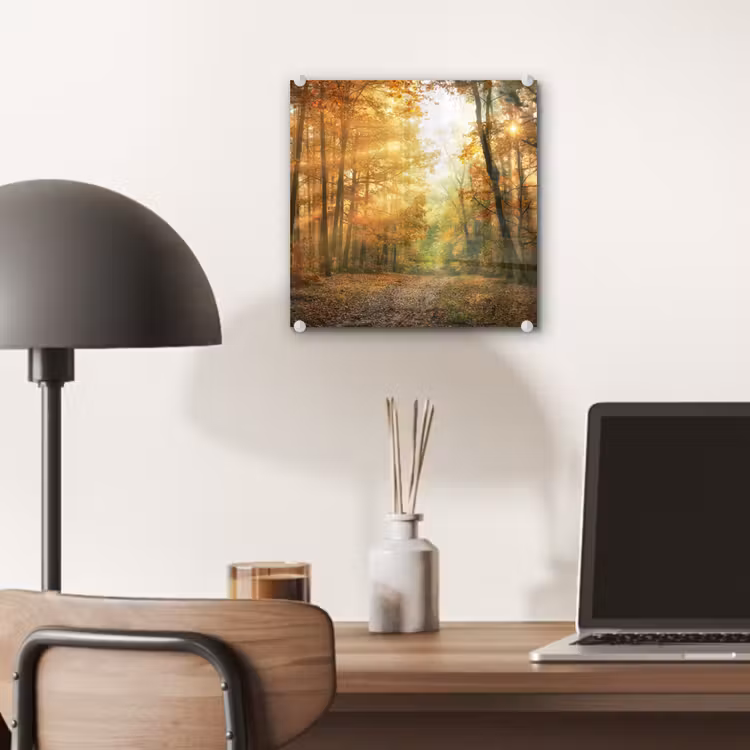 Bos - Herfst - Zon - Landschap - Natuur - Bomen - Bladeren plexiglas 5mm klein -sfeer6