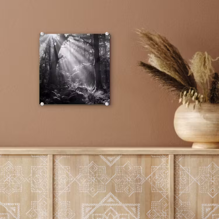 Bos - Lichtstralen - Natuur - Zwart-wit plexiglas 5mm klein -sfeer5