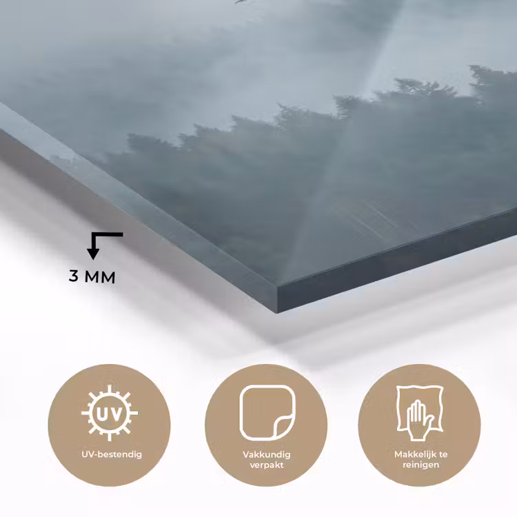 Bos - Mist - Vogels - Natuur - Groen plexiglas 5mm klein -sfeer2