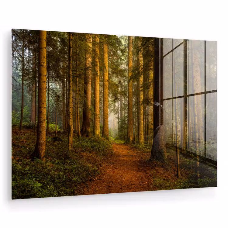 Bos - Natuur - Bomen - Landschap - Bladeren plexiglas 5mm klein -zzzproduct_nieuw