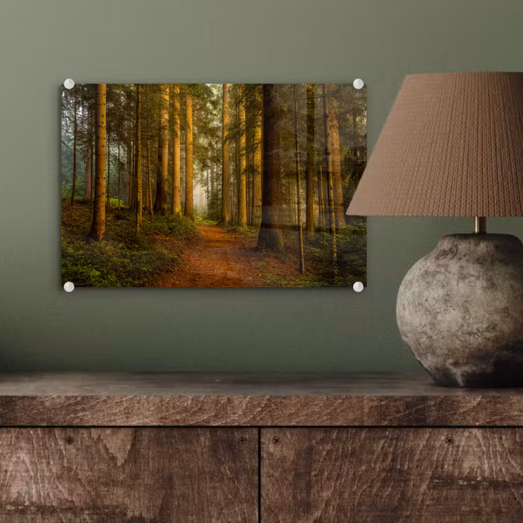 Bos - Natuur - Bomen - Landschap - Bladeren plexiglas 5mm klein -sfeer3
