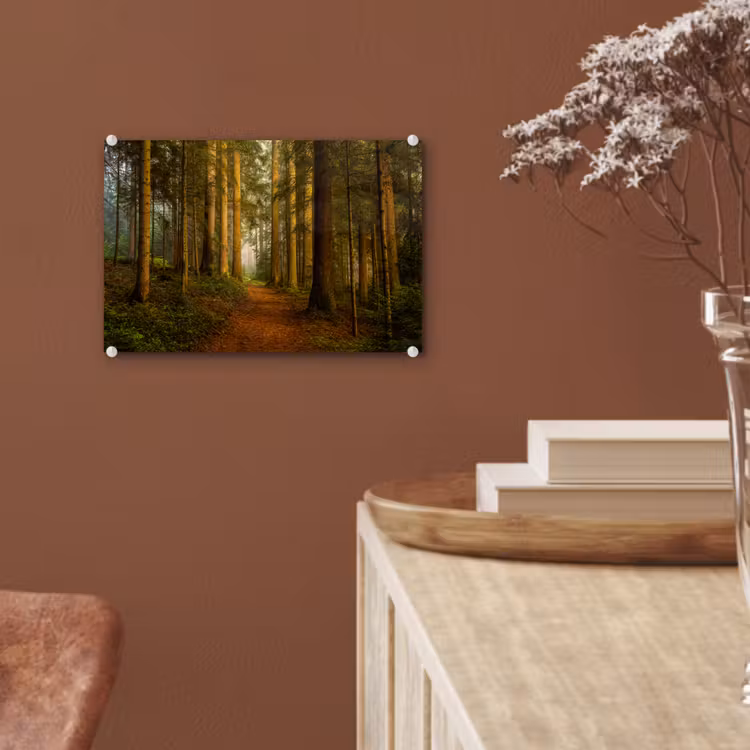 Bos - Natuur - Bomen - Landschap - Bladeren plexiglas 5mm klein -sfeer5